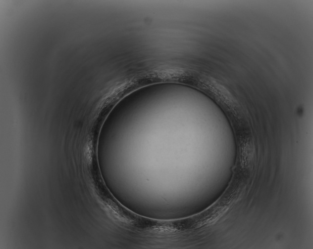X0000097960644200804011659