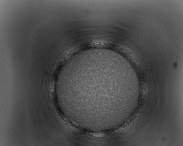 X0000097960645200804011659