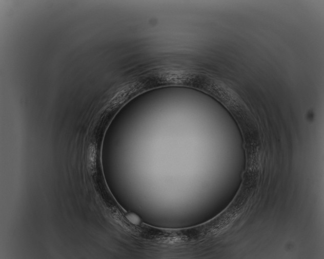 X0000097960646200804011659