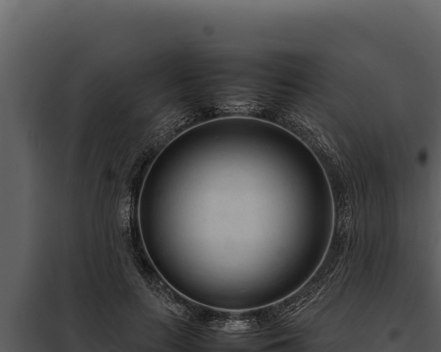 X0000097960647200804011659