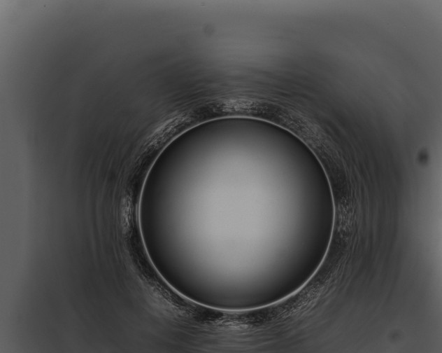 X0000097960648200804011659