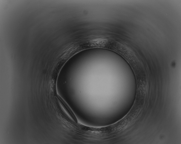 X0000097960649200804011659
