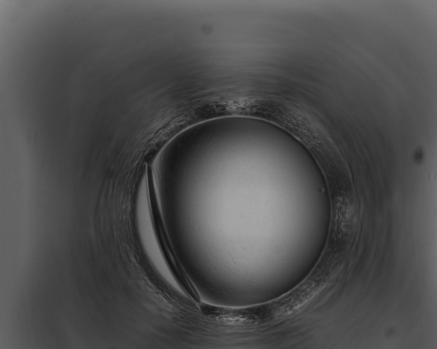 X0000097960650200804011659