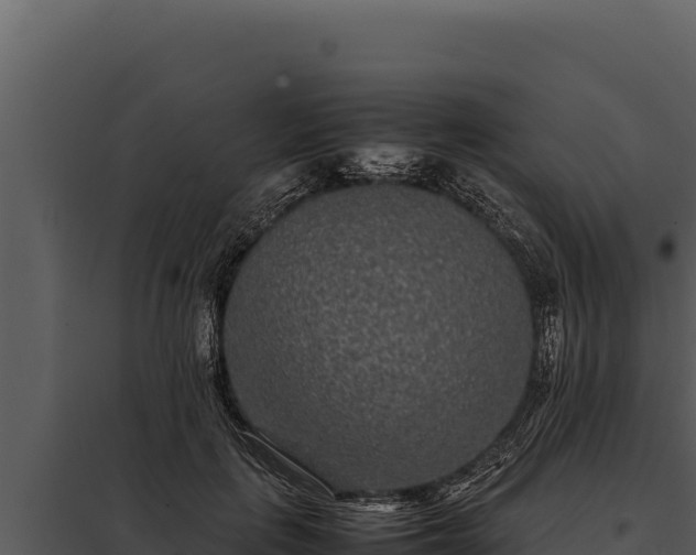 X0000097960651200804011659