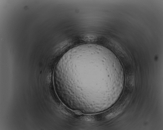 X0000097960652200804011659