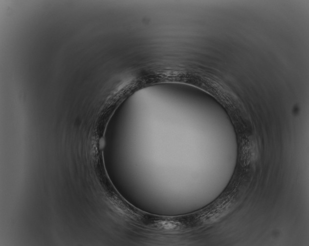 X0000097960654200804011659