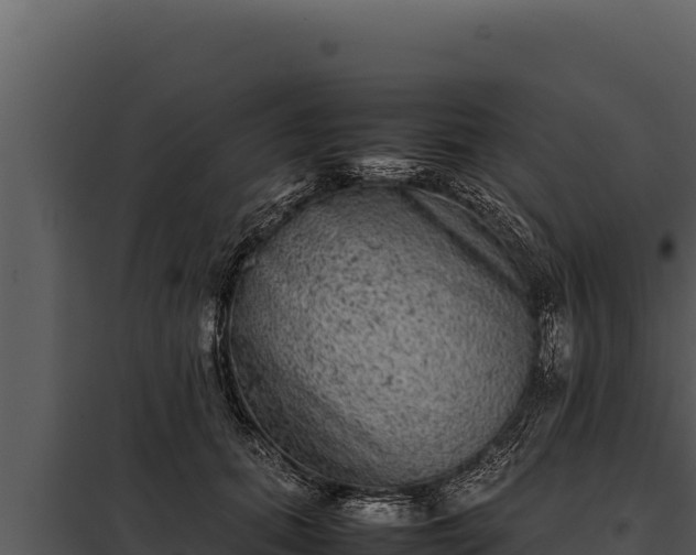 X0000097960655200804011659