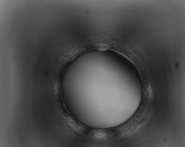 X0000097960658200804011659