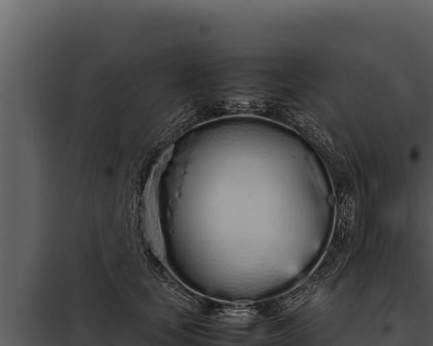 X0000097960659200804011659