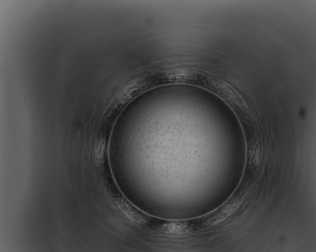 X0000097960660200804011659