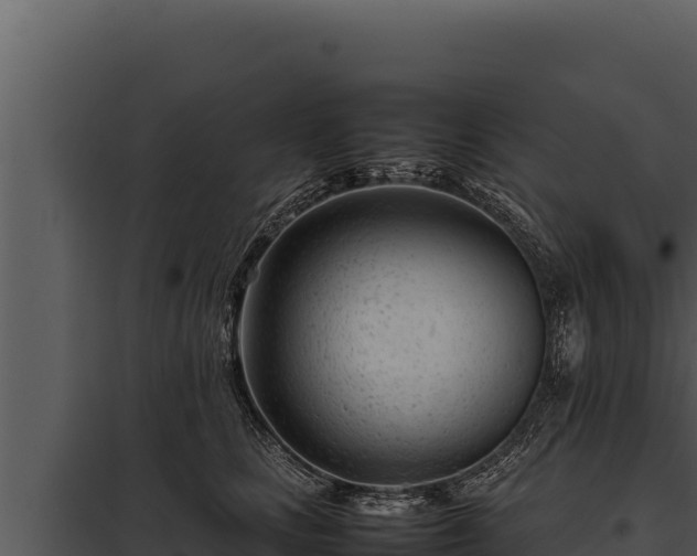 X0000097960661200804011659