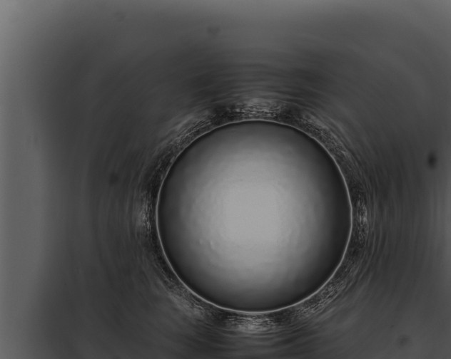 X0000097960663200804011659