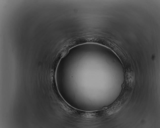 X0000097960664200804011659