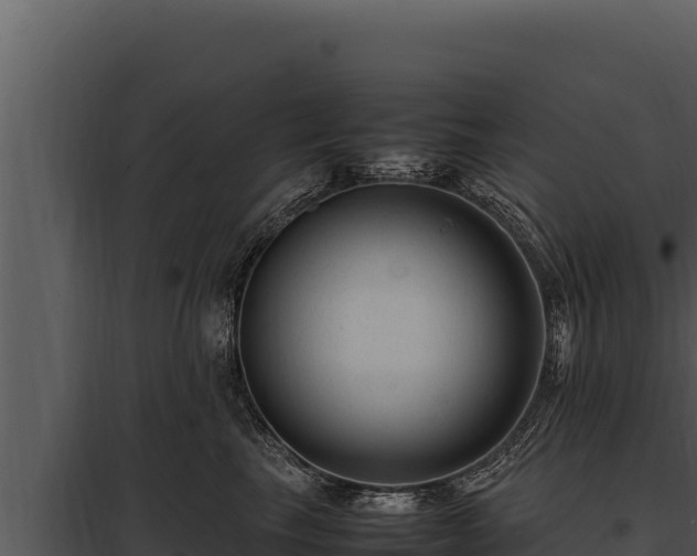 X0000097960665200804011659