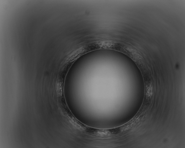 X0000097960666200804011659
