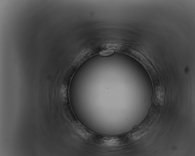 X0000097960667200804011659