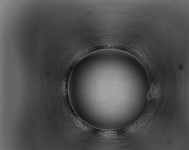 X0000097960670200804011659