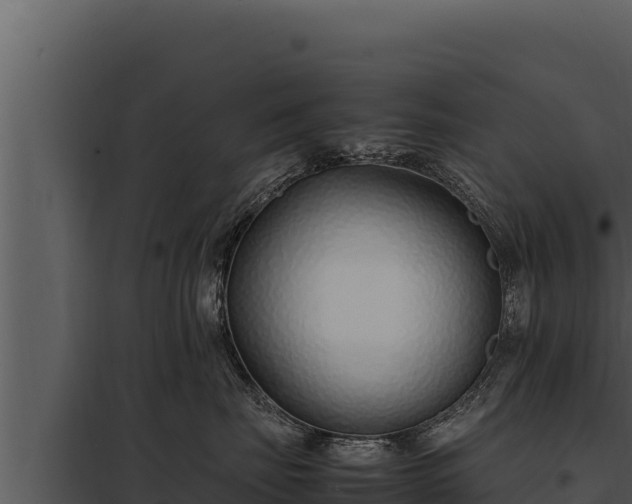 X0000097960671200804011659