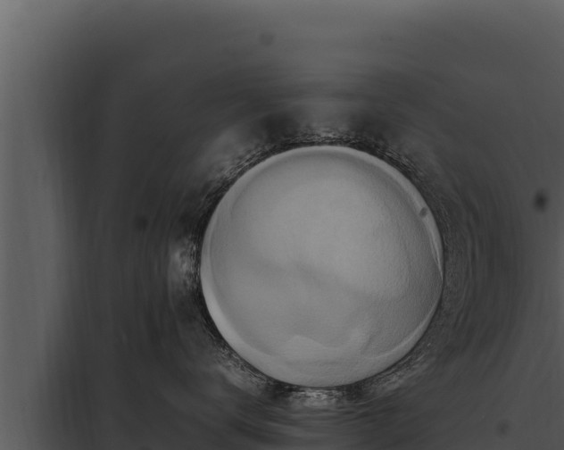 X0000097960672200804011659