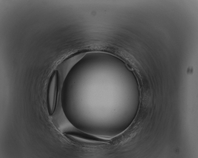 X0000097960673200804011658