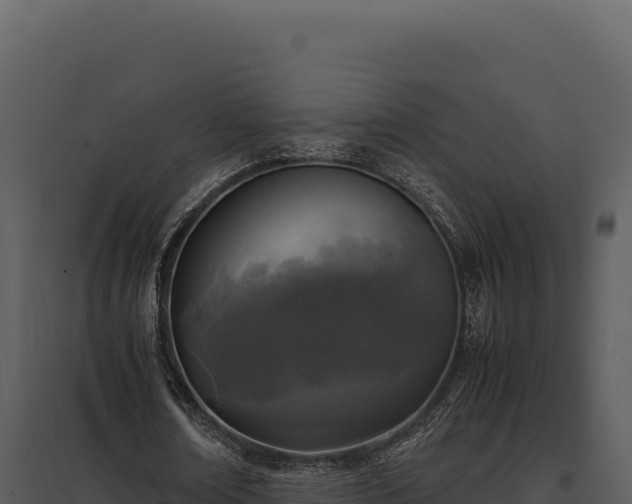 X0000097960674200804011658