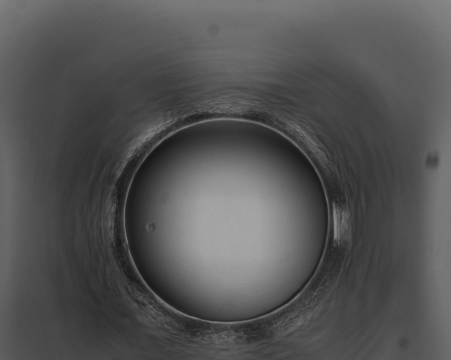 X0000097960675200804011658