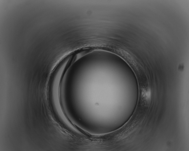 X0000097960676200804011658
