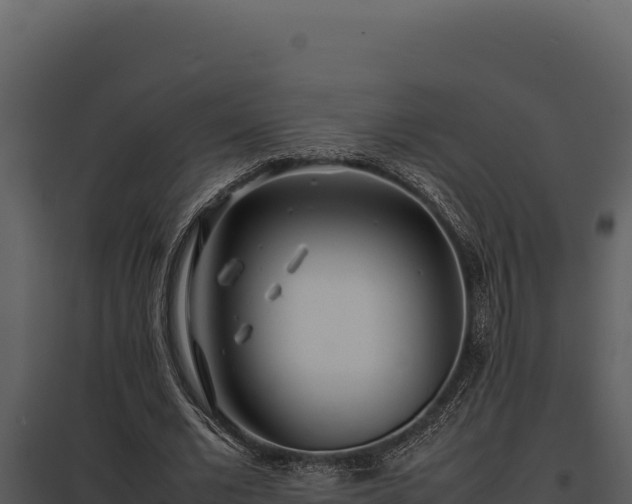X0000097960677200804011658