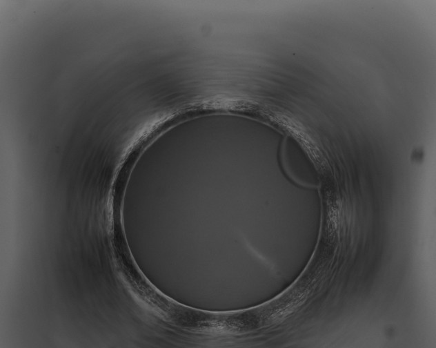 X0000097960678200804011658