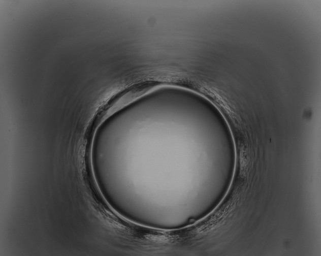 X0000097960679200804011658