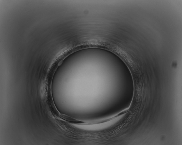 X0000097960680200804011658