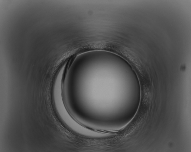 X0000097960681200804011658