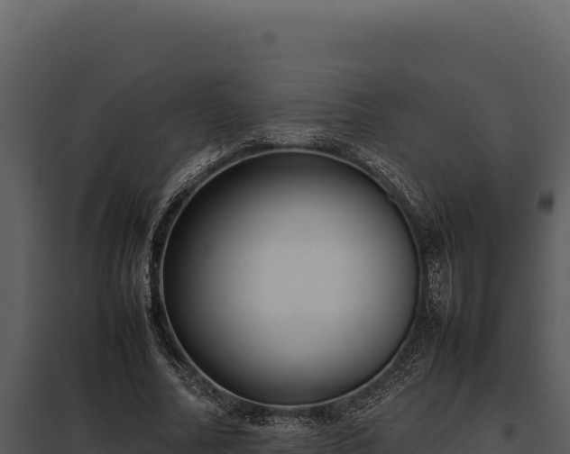 X0000097960682200804011658