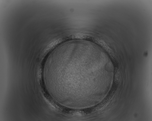 X0000097960683200804011658
