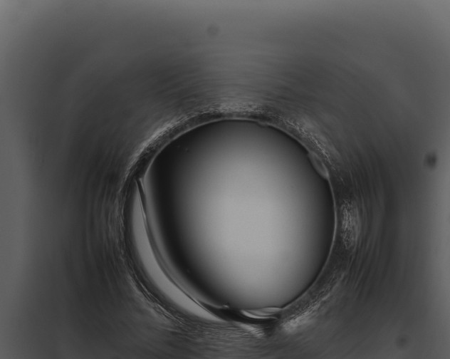 X0000097960684200804011658