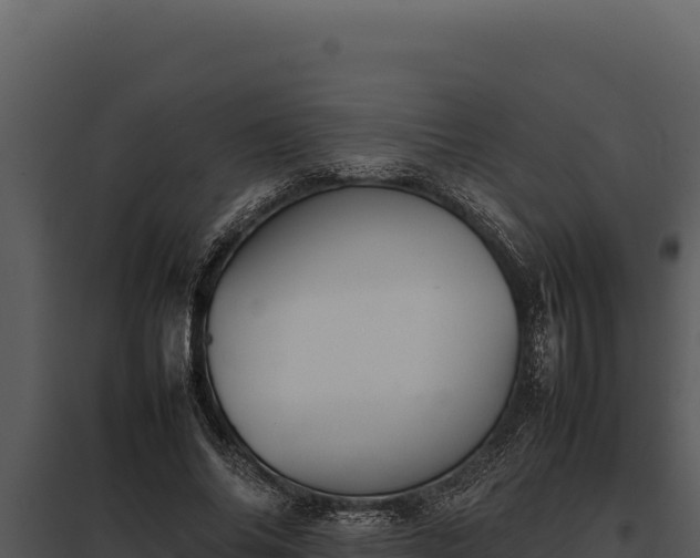 X0000097960686200804011658