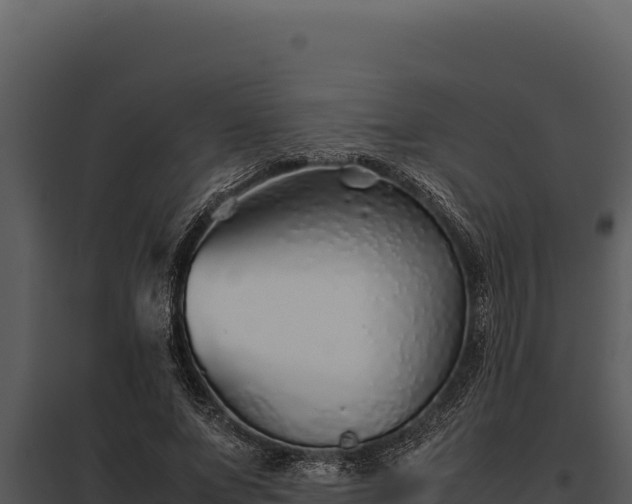 X0000097960687200804011658