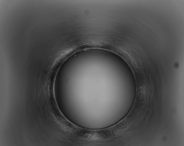X0000097960688200804011658