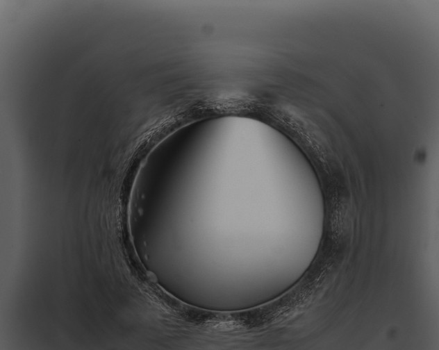 X0000097960689200804011658