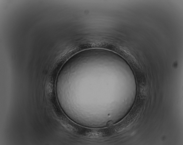 X0000097960691200804011658