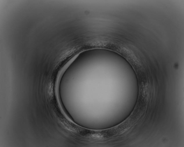 X0000097960692200804011658