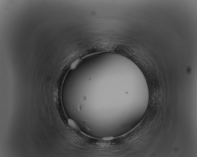 X0000097960693200804011658