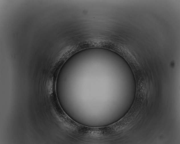 X0000097960694200804011658