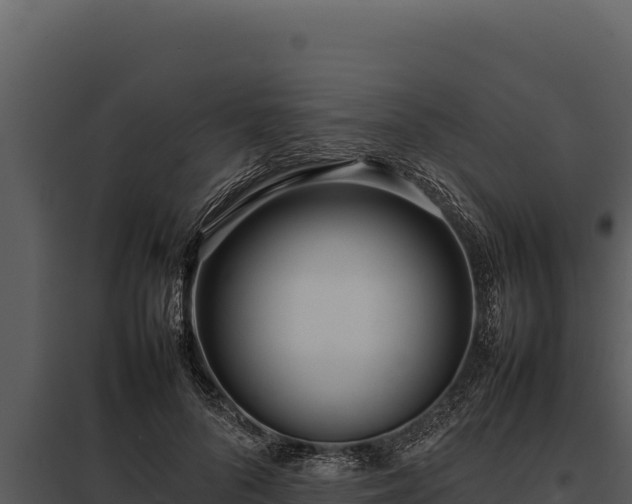 X0000097960696200804011658