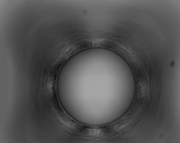 X0000097960698200804011658