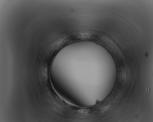 X0000097960700200804011658