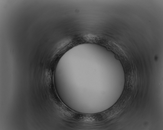 X0000097960702200804011658