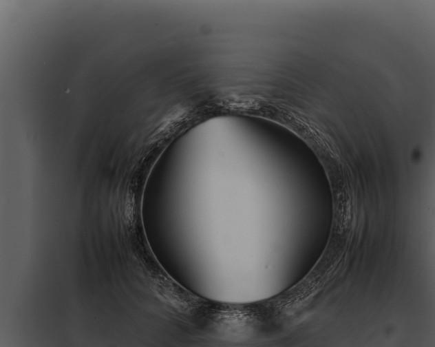 X0000097960704200804011658