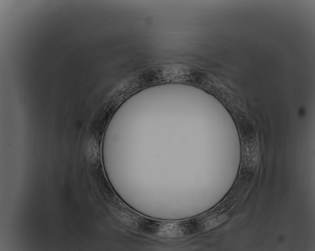 X0000097960705200804011658
