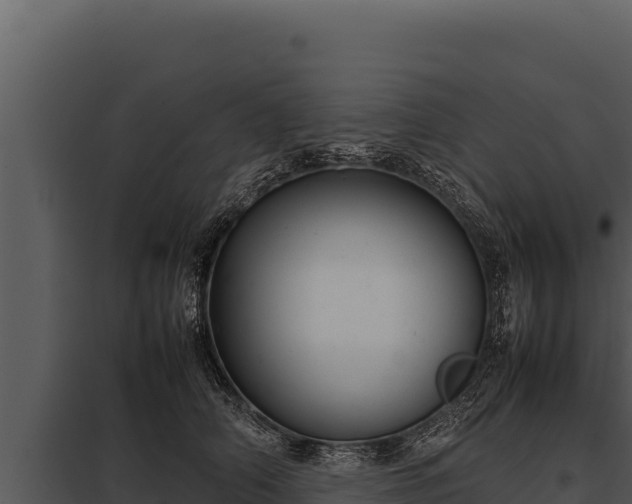 X0000097960706200804011658